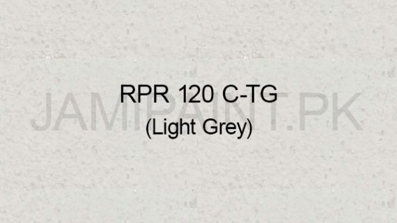 Ressichem Ressi PlastoRend 120 C-TG (Light Grey)