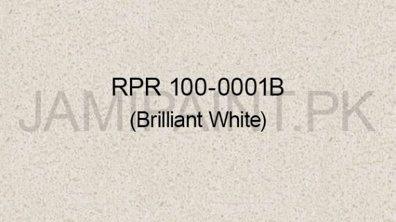 Ressichem Ressi PlastoRend 100-0001 B (Brilliant White)