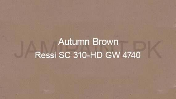 Ressichem Ressi SC 310-HD GW 4740 (Autumn Brown)