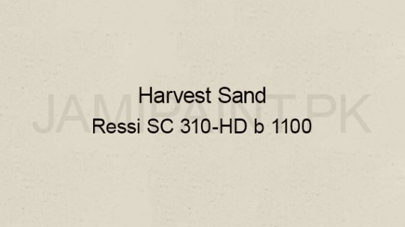 Ressichem Ressi SC 310-HD B 1100 (Harvest Sand)