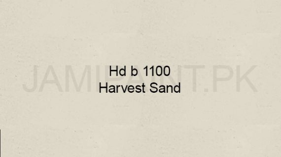 Ressichem Ressi Powder Release HD b 1100 (Harvest Sand)