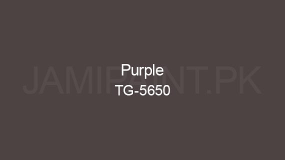 Ressichem Ressi ETG DP Matt 5650 (Purple)