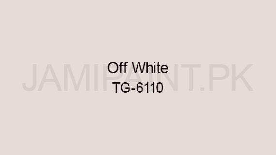 Ressichem Ressi ETG DP Matt 6110 (Off White)