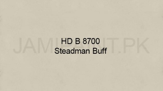Ressichem Ressi Pigmented Hardener - HD B 8700 (Steadmen Buff)