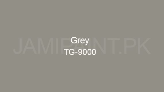 Ressichem Ressi ETG DP Matt 9000 (Grey)