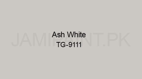 Ressichem Ressi ETG DP Matt 9111 (Ash White)