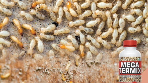 Mega Termix