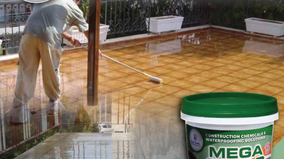 Mega Clear Guard Transparent