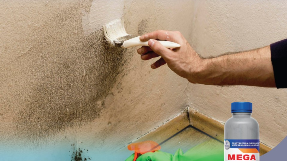 Mega Anti Fungus Surface Preparation