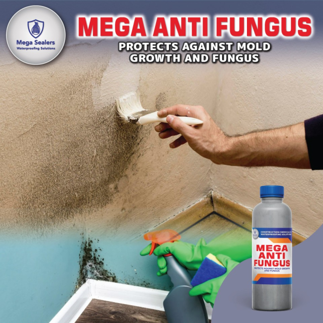 Mega Anti Fungus Surface Preparation - Image 1